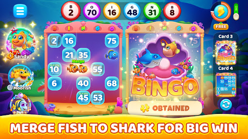 Bingo Ocean Bingo Games free coins apk latest version  1.1.1 list_