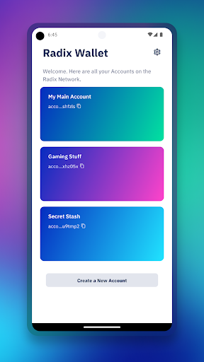 Radix Wallet Extension Apk 1.6.1 Download Latest Version  1.6.1 list_2