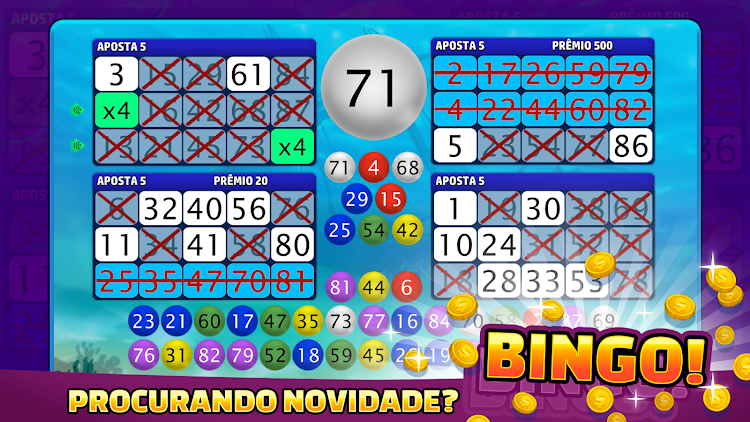 Fantasy Bingo VideoBingo apk download latest version picture 2