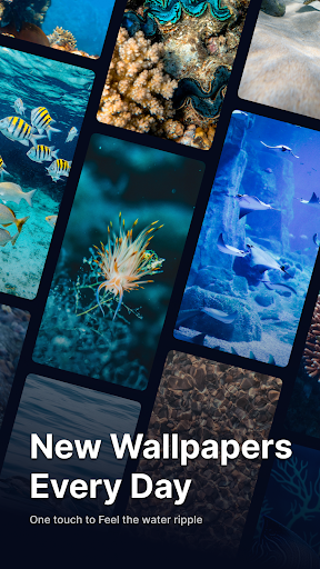 WaterRipple Live Wallpapers HD app free download 1.0.1 list_