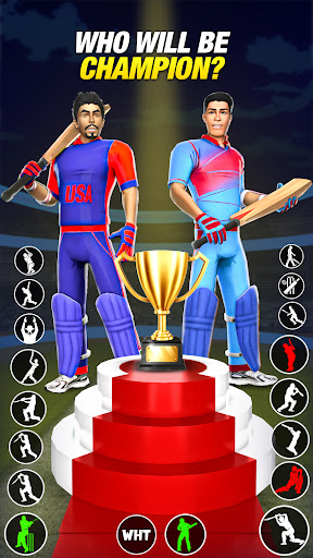 Bat & Ball Play Cricket Games mod apk unlimited money 3.0 list_