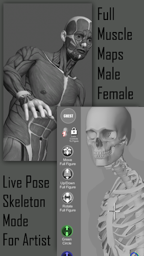 Pose Tool 3D free apk 6.8.180 download full version 6.8.180 list_