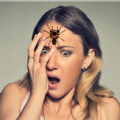 Spider Face Prank GUIDE apk download latest version 5.5