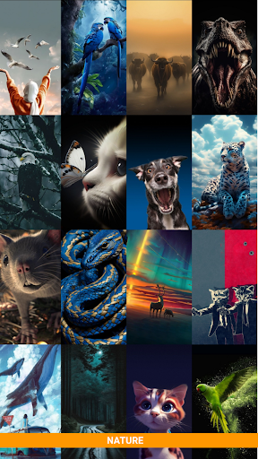 Wollo Wallpapers app download latest version 1.0 list_5