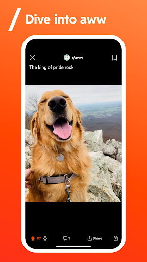 Reddit 2024.31.0 apk latest version download picture 1