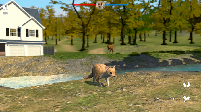 Flying Squirrel Simulator Game mod apk latest version 1.0.1 list_4