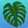 Plant Therapy NYC Edition Apk Download for Android 240818.17.1