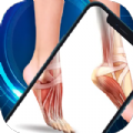 Xray Scanner Face Body Fun app download latest version  1.0