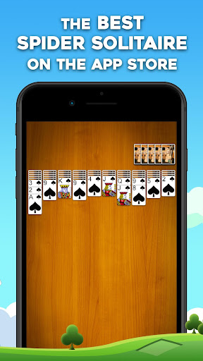 Spider Solitaire: Card Games list_