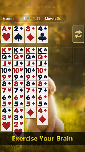 Solitaire Pal: Big Card list_2