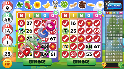 Bingo Classic - Bingo Games list_