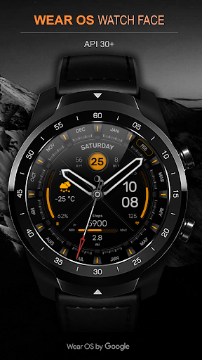 WFP 307 Hybrid watch face list_