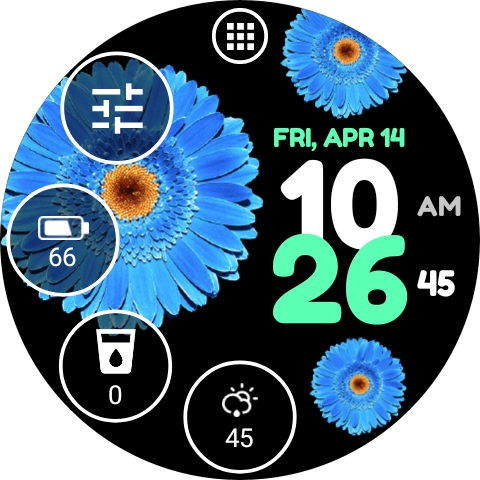 Flower Watch Face by HuskyDEV list_