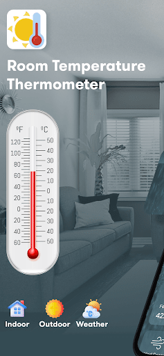 Room Temperature Thermometer list_