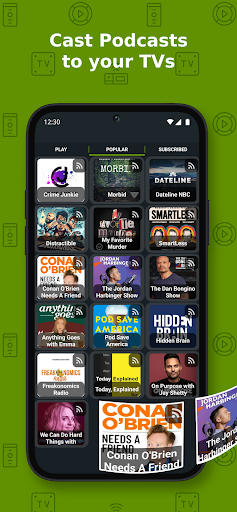 Cast to TV+ Chromecast Roku TV list_6