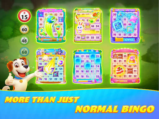 Bingo Journey - Lucky Casino list_16