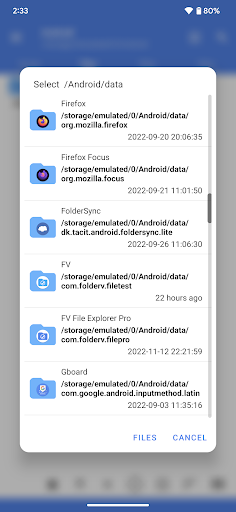 FV File Pro list_3